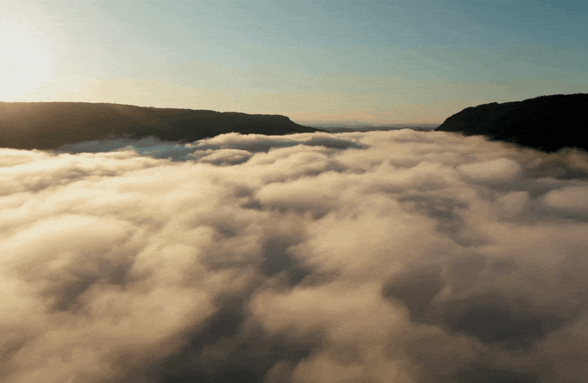 La playlist dans la brume